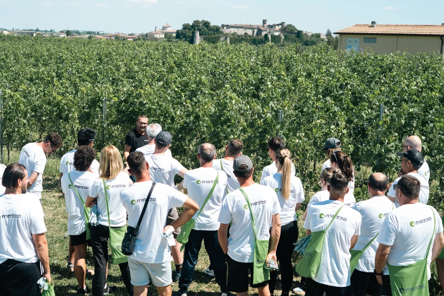 La squadra mazza nel vigneto
