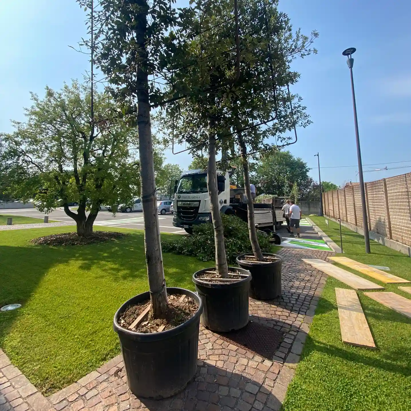 Lavori in corso giardino di Renato